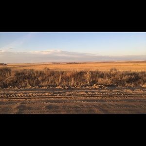 Meet your Posher, Katelyn